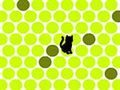 Catch the cat play online