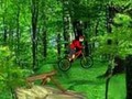 Mountain Bike play online