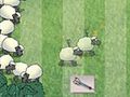 Unruly sheep play online