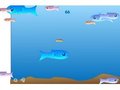 Aquarium fish play online