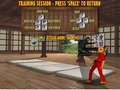 Fighting Ninja play online