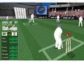 Cricket play online