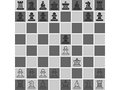 Chess 3D play online