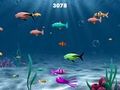 Franky The Fish play online