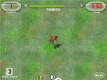 Horse Show Jumping play online