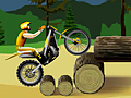 Stunt Dirt Bike play online