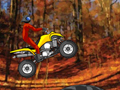 Quad Extreme Racer play online