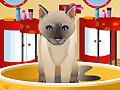 Petz Fashion play online