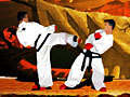 TaeKwon-Do play online