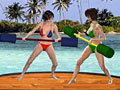 Beach fight play online