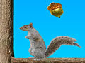 Acorn Toss play online