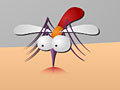 Mosquito play online