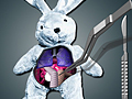 Save The Bunny play online