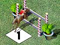 Horse Show Jumping play online