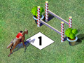 Show Jumping play online