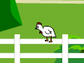 Chicken Impossible play online