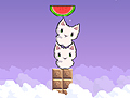 Cat cat watermelon play online