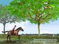 Horse Jumping play online