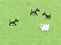 Salvation sheep play online