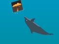 Dolphin play online