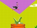 Ostrich race play online