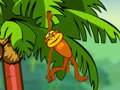 Spider Monkey play online