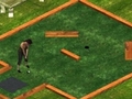 Putt It In play online