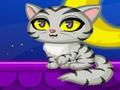 Purrfect Kitten play online