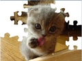 Cute Cat Puzzle play online