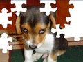 Cute Dog Puzzle play online