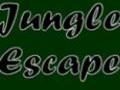 Jungle Escape play online