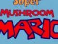 Super Mushroom Mario play online