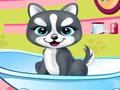 Pets Beauty Salon 2 play online