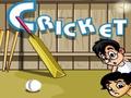 Galli Cricket play online