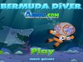 Bermuda Diver play online