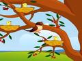 Bird Feeding play online