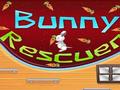 Bunny Rescuer play online