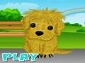 Puppy Needs Owner play online