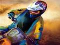 Dirt Bike Destruction play online