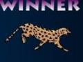 Cheetah Race play online