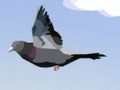 Funny bird play online