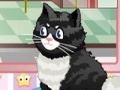 Cat Salon play online