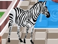 Zoo caring play online