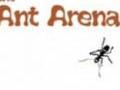 Ants Arena play online