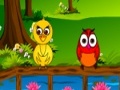 Forest birds feeding play online