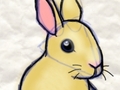 Chinese rabbit play online