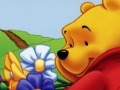 Winnie the Pooh Hidden Object play online