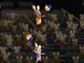 Volleyball with rabbit play online