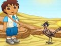 Diego and ostrich races play online