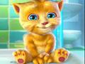 Talking cat Ginger play online